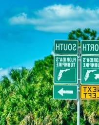 Florida Turnpike North and South signs with palm trees and blue sky background